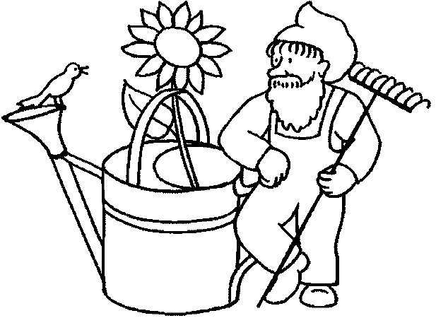 Kuerbis Anzuchtanleitung